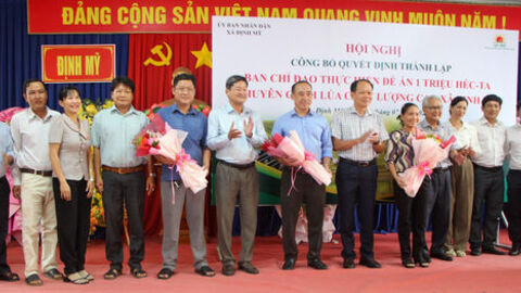 Định Mỹ thành lập Ban Chỉ đạo phát triển vùng lúa chất lượng cao, phát thải thấp