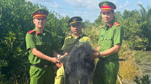 Phát hiện 8 trường hợp bẫy bắt động vật hoang dã tại Hà Tiên