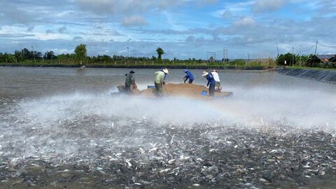 An Giang trên hành trình trở thành cực tăng trưởng mới của vùng