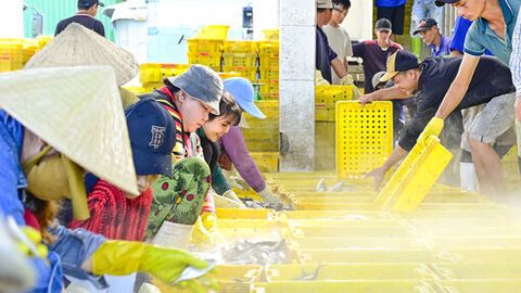 Bên trong cảng cá Tắc Cậu