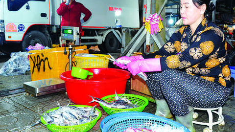 Một đêm ở chợ đầu mối - Bài 1: Thức cùng chợ đêm