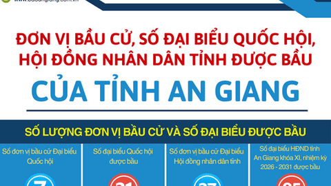 [Infographics] Đơn vị bầu cử, số Đại biểu Quốc hội, Hội đồng nhân dân tỉnh được bầu của tỉnh An Giang 