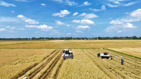 Khoa học mở đường, kinh tế địa phương khởi sắc