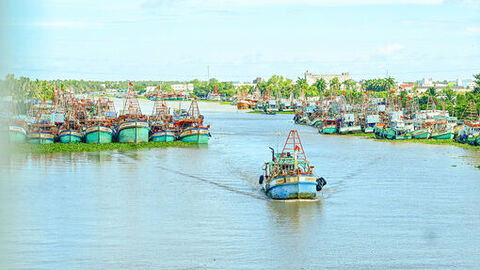Sống cùng dòng Cái Bé