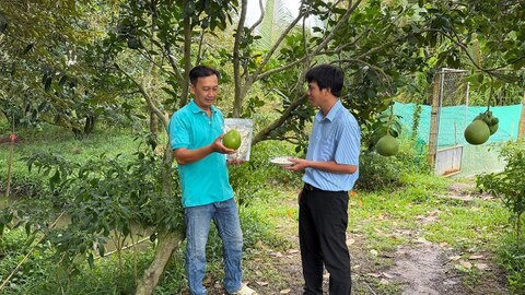 Vĩnh Hòa Hưng phát triển du lịch sinh thái