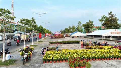 Gò Quao vào xuân, thêm niềm tin mới