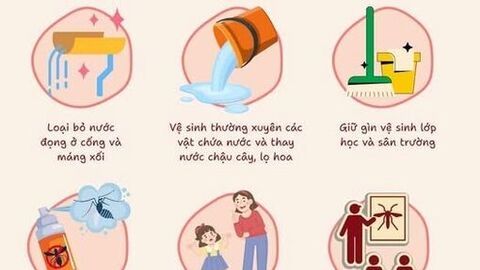 Phòng, chống bệnh sốt xuất huyết trong trường học