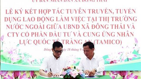 Kết nối việc làm, mở thêm sinh kế