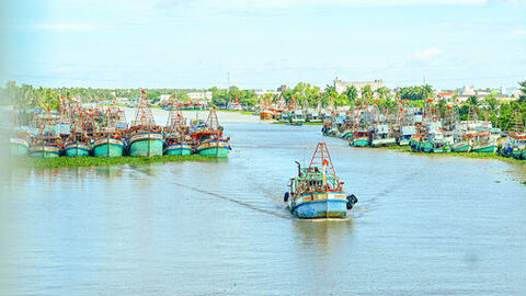 Siết quản lý tàu cá, chặn vi phạm IUU