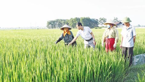 Bắc Ninh: Lan tỏa phong trào thi đua dân vận khéo