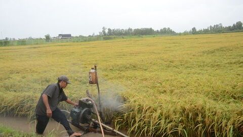 An Giang chủ động ứng phó lũ kết hợp triều cường 