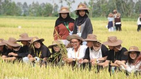 Sinh viên quốc tế trải nghiệm hệ sinh thái nông nghiệp Lộc Trời
