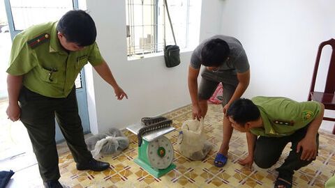 An Giang vận động người dân tự nguyện giao nộp cá thể động vật hoang dã 