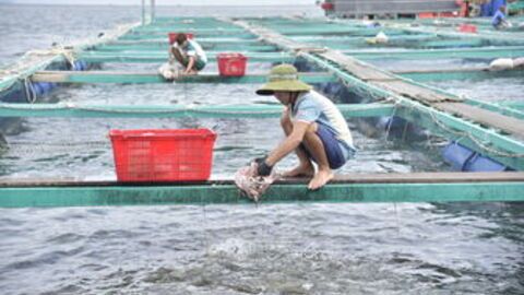 An Giang phát huy tiềm năng kinh tế biển