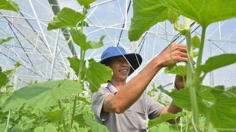 Nhân rộng mô hình kinh tế hiệu quả
