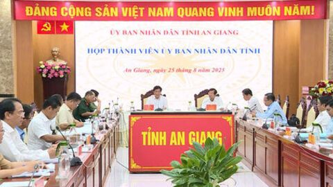 Thành viên UBND tỉnh An Giang thông qua các nội dung thuộc thẩm quyền