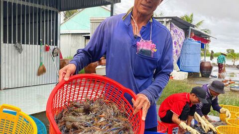 Hợp tác xã tôm - lúa Vĩnh Bình trên đà phát triển