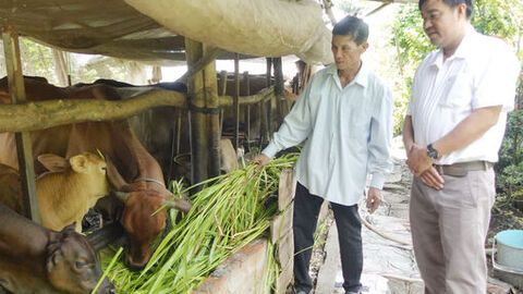 Phát huy nội lực, Thạnh Hưng bứt phá