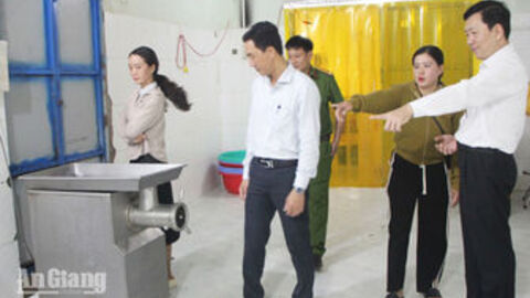Kiểm tra cơ sở sản xuất chả cá basa ở Mỹ Thới 