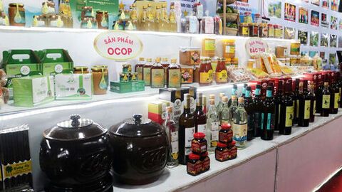 Tịnh Biên phát triển sản phẩm từ cây thốt nốt