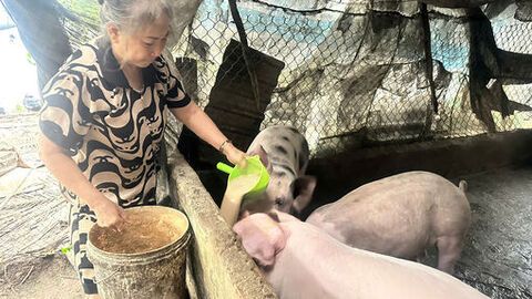 Từ khó khăn vươn lên, ấp Thạnh Tây không còn hộ nghèo