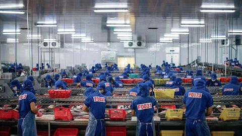 Khai mở tiềm năng để ngành hàng cá tra phát triển