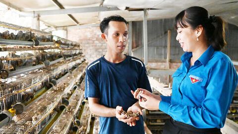 Đồng hành cùng thanh niên khởi nghiệp