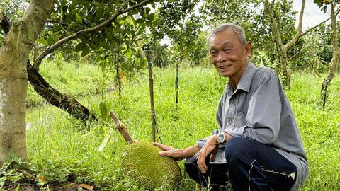 Cựu chiến binh xung kích làm giàu