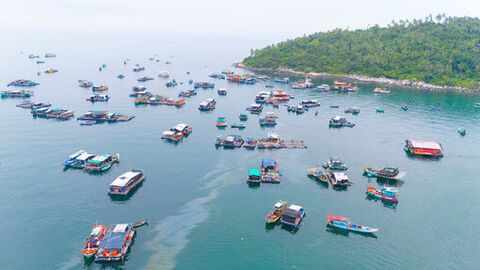 Rộn ràng Lễ hội Nghinh Ông Lại Sơn đặc khu Kiên Hải năm 2025 