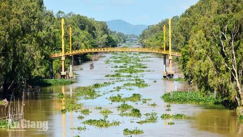 Chờ mùa nước nổi