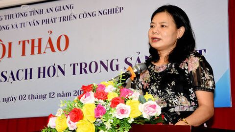An Giang tập huấn sản xuất sạch hơn cho các cơ sở sản xuất công nghiệp