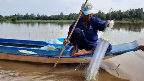 An Giang cảnh báo lũ trên sông Hậu và khu vực nội đồng Tứ giác Long Xuyên
