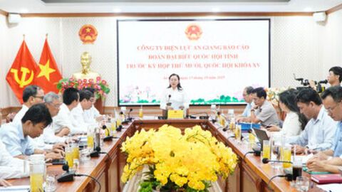 Đoàn Đại biểu Quốc hội tỉnh làm việc với Công ty Điện lực An Giang 