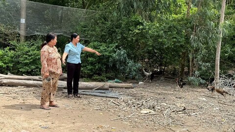 Những điểm tựa an sinh ở Hòa Điền