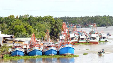 Chuyển đổi nghề cho ngư dân cần chính sách sát thực tế