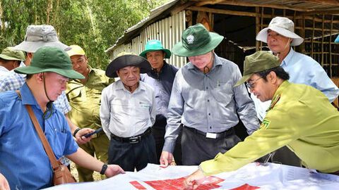 Tăng cường quản lý, bảo vệ rừng