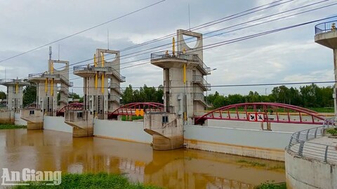 An Giang đóng cống Tha La và Trà Sư vào ngày 14/8