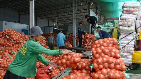 Khánh Bình hướng đến trung tâm động lực mới vùng biên giới