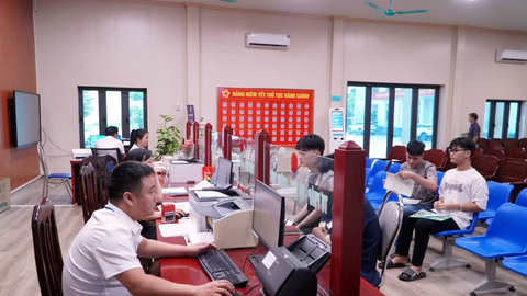 Cắt giảm, đơn giản hóa điều kiện kinh doanh của 11 lĩnh vực nông nghiệp và môi trường