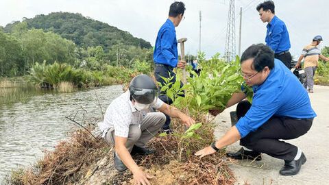 Phường Tô Châu phát động Tết trồng cây “Đời đời nhớ ơn Bác Hồ”