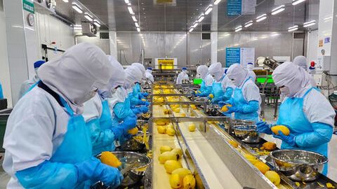 4 nghị quyết trụ cột tạo động lực phát triển toàn diện