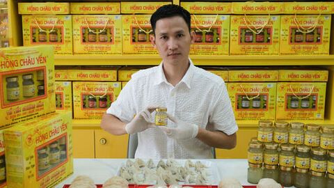 Người đưa yến An Giang vươn xa