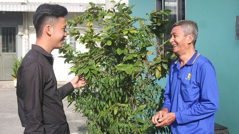 Đại đoàn kết trên quỹ đất công - Bài 3: Nơi đó có đại đoàn kết