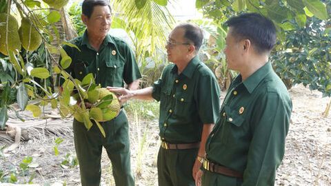 Cựu chiến binh An Giang - điểm tựa niềm tin của Nhân dân