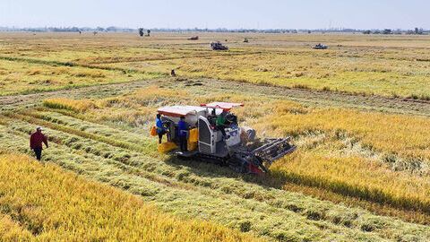 Vĩnh Xương tạo điểm tựa phát triển