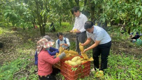 ĐẦU NGUỒN SÔNG MEKONG CHẢY VÀO ĐẤT VIỆT - DẤU ẤN MỘT VÙNG ĐẤT: Bài 3: Đổi thay ở vùng biên