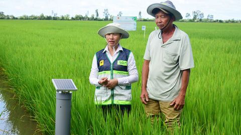 Sáng tạo trên những cánh đồng