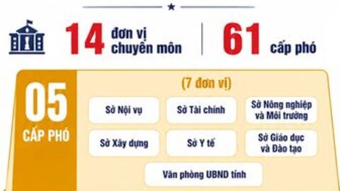 [Infographic] An Giang quy định số lượng cấp phó của các cơ quan thuộc UBND tỉnh