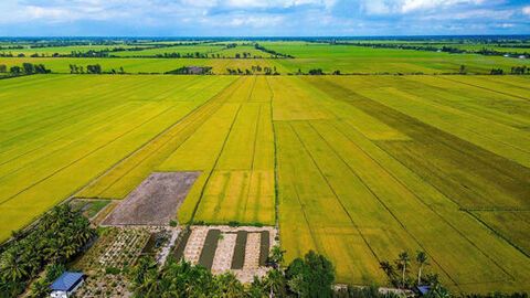 Vĩnh Hòa, hành trình mới của một xã anh hùng