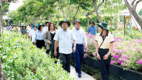 Bí thư Tỉnh ủy An Giang Nguyễn Tiến Hải khảo sát rừng tràm Trà Sư